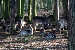 Killikus&reg; Fotographie